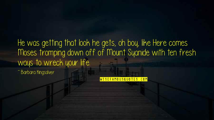 Getting Life Quotes By Barbara Kingsolver: He was getting that look he gets, oh Getting Life Quotes By Barbara Kingsolver: He was getting that look he gets, oh