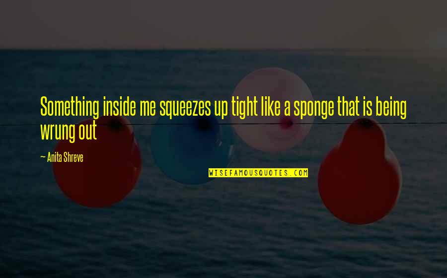 Getting Myself Together Quotes By Anita Shreve: Something inside me squeezes up tight like a