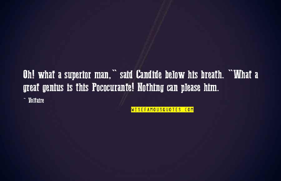 Getting On Your Nerves Quotes By Voltaire: Oh! what a superior man," said Candide below