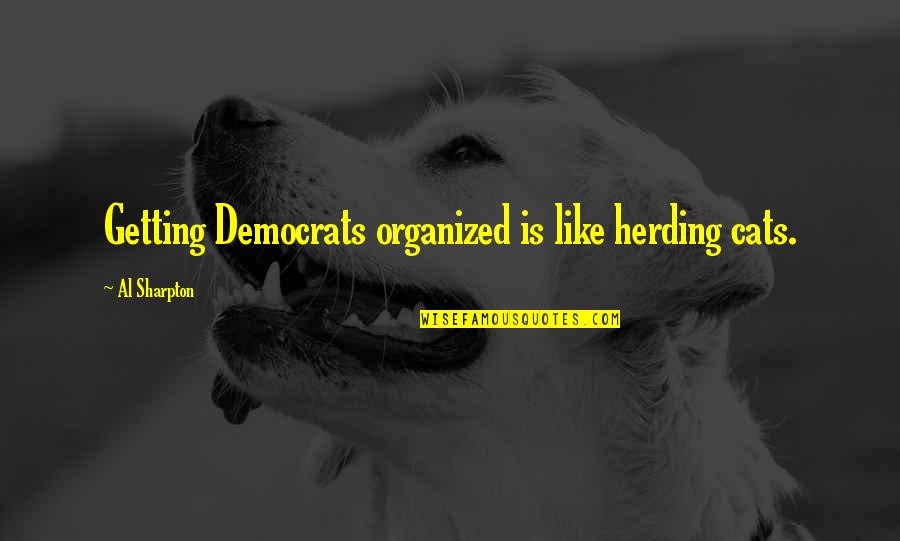 Getting Organized Quotes By Al Sharpton: Getting Democrats organized is like herding cats.