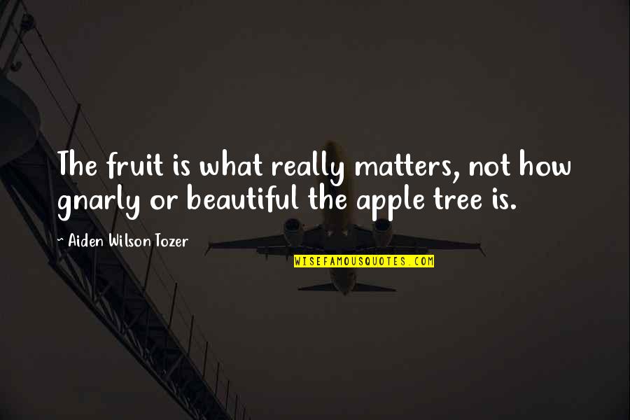 Getting Over It And Being Happy Quotes By Aiden Wilson Tozer: The fruit is what really matters, not how