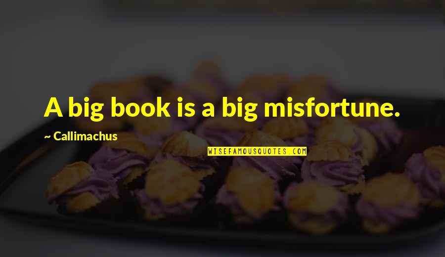 Getting Over Past Relationships Quotes By Callimachus: A big book is a big misfortune.