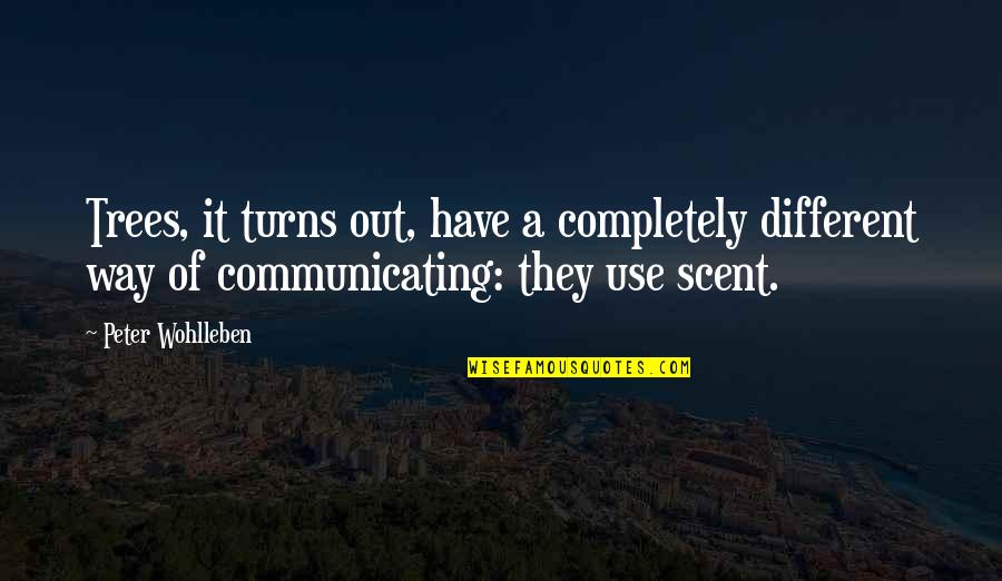 Getting Rid Of Drama In Your Life Quotes By Peter Wohlleben: Trees, it turns out, have a completely different Getting Rid Of Drama In Your Life Quotes By Peter Wohlleben: Trees, it turns out, have a completely different