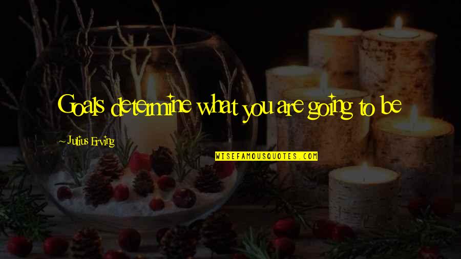 Getting Short Hair Quotes By Julius Erving: Goals determine what you are going to be