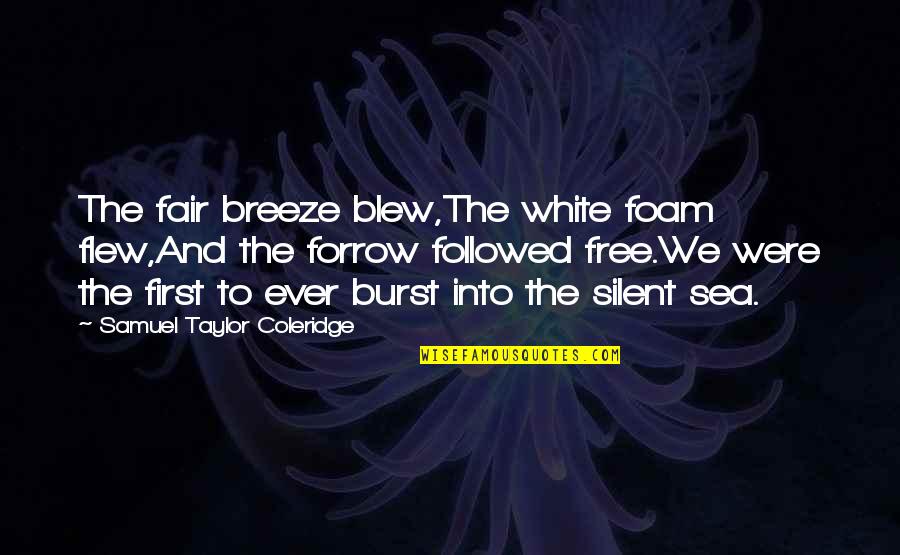 Getting Tangled Quotes By Samuel Taylor Coleridge: The fair breeze blew,The white foam flew,And the