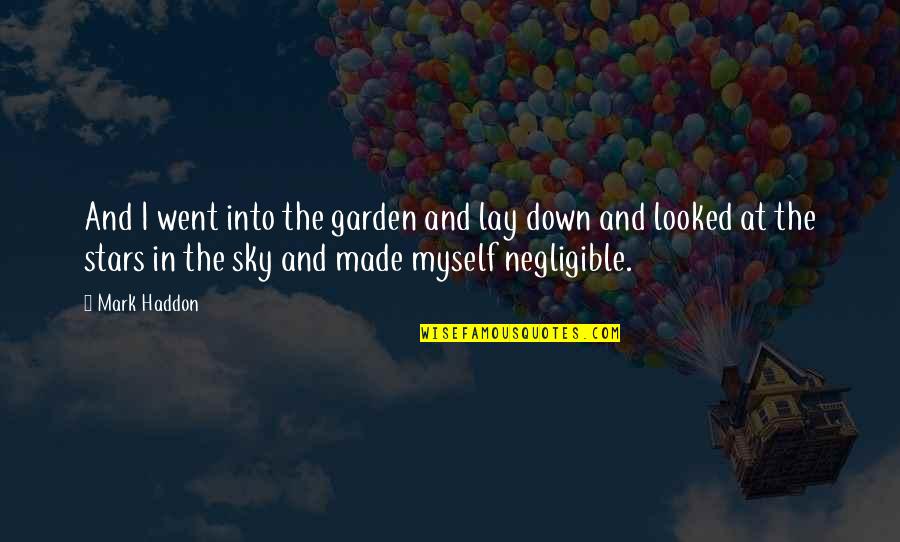 Getting The Weekend Started Quotes By Mark Haddon: And I went into the garden and lay