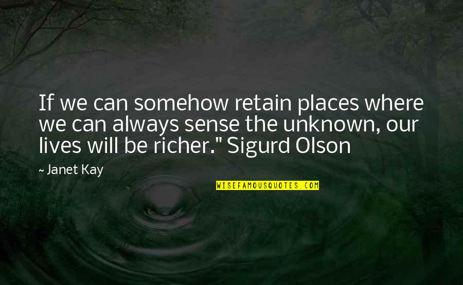 Getting Things Done As A Team Quotes By Janet Kay: If we can somehow retain places where we