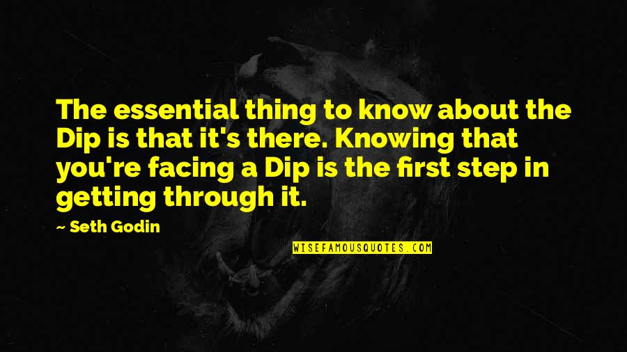 Getting Through It All Quotes By Seth Godin: The essential thing to know about the Dip