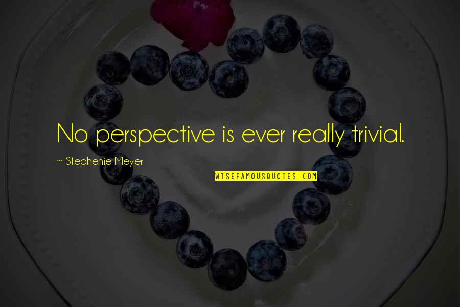 Getting Through The Hard Times In A Relationship Quotes By Stephenie Meyer: No perspective is ever really trivial.