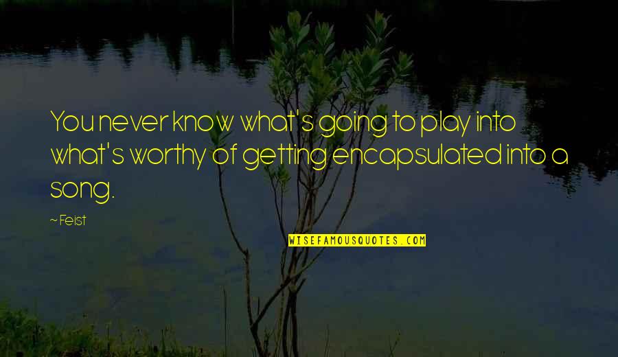 Getting To Know You Quotes By Feist: You never know what's going to play into