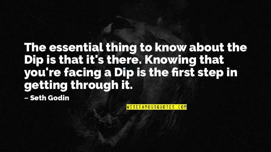Getting To Know You Quotes By Seth Godin: The essential thing to know about the Dip