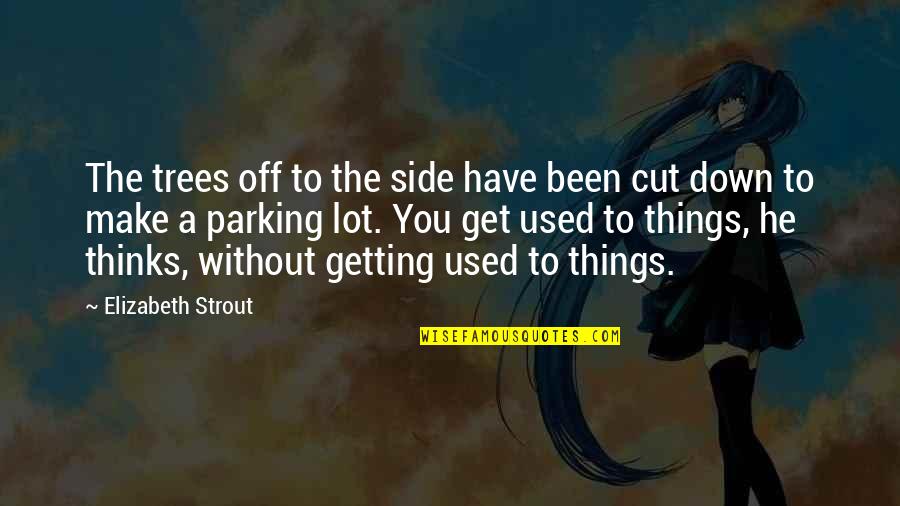 Getting Used Quotes By Elizabeth Strout: The trees off to the side have been