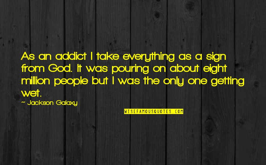 Getting Wet Quotes By Jackson Galaxy: As an addict I take everything as a
