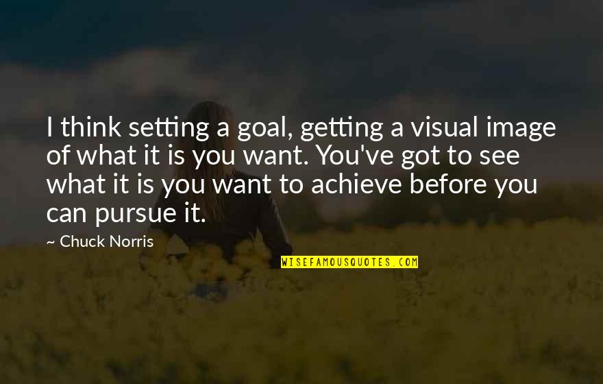 Getting What You Want To Be Quotes By Chuck Norris: I think setting a goal, getting a visual