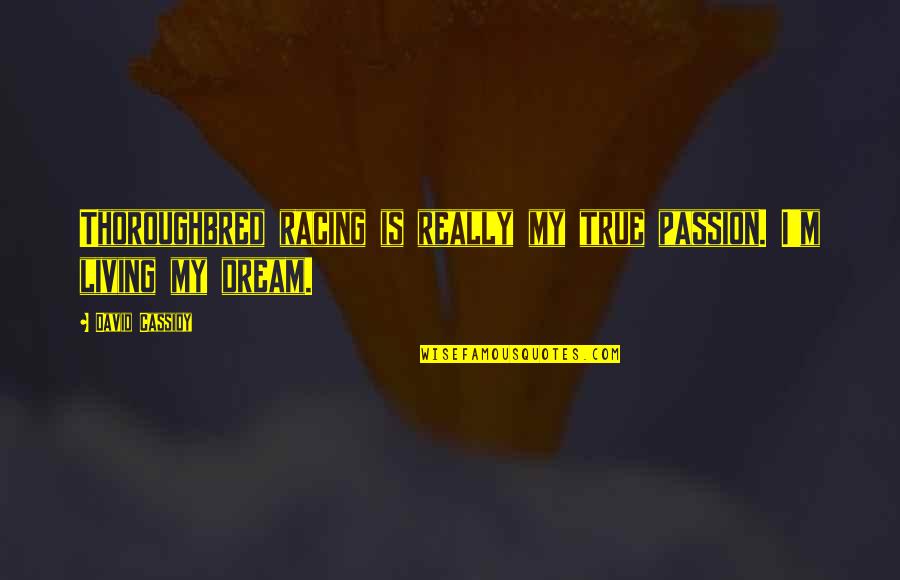 Gettting Quotes By David Cassidy: Thoroughbred racing is really my true passion. I'm