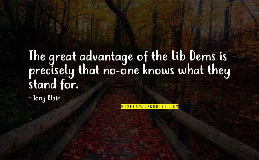 Gever Quotes By Tony Blair: The great advantage of the Lib Dems is