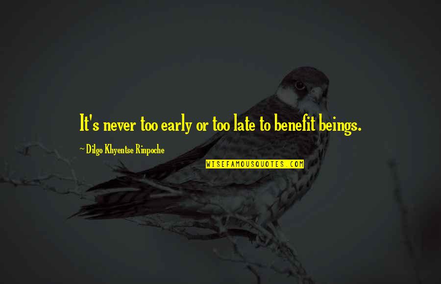 Gevers Wealth Quotes By Dilgo Khyentse Rinpoche: It's never too early or too late to Gevers Wealth Quotes By Dilgo Khyentse Rinpoche: It's never too early or too late to