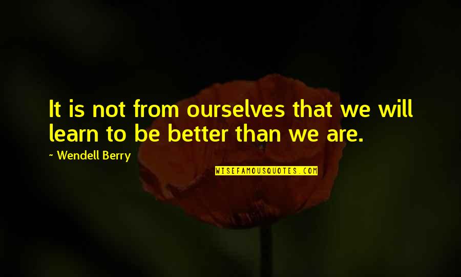 Geziciyak Quotes By Wendell Berry: It is not from ourselves that we will
