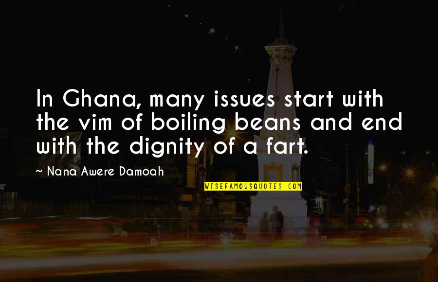 Ghana Quotes By Nana Awere Damoah: In Ghana, many issues start with the vim
