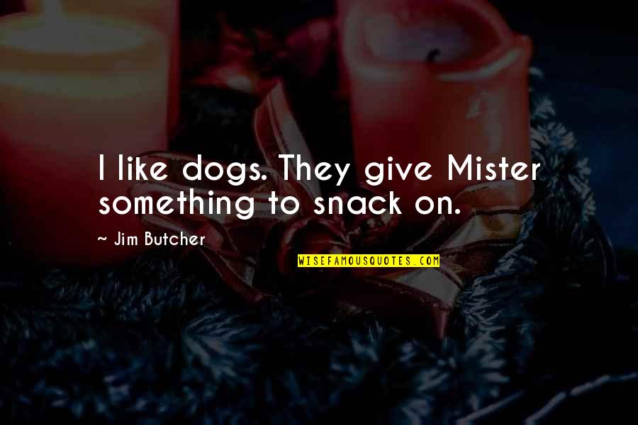 Ghaus Paak Quotes By Jim Butcher: I like dogs. They give Mister something to