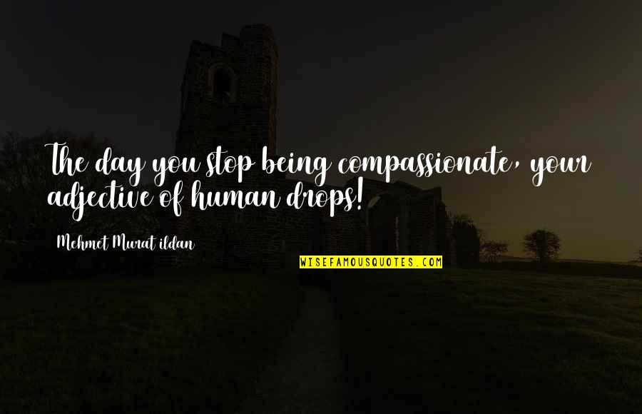 Ghazi Quotes By Mehmet Murat Ildan: The day you stop being compassionate, your adjective