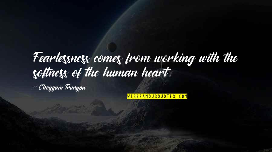 Ghetto Hater Quotes By Chogyam Trungpa: Fearlessness comes from working with the softness of Ghetto Hater Quotes By Chogyam Trungpa: Fearlessness comes from working with the softness of