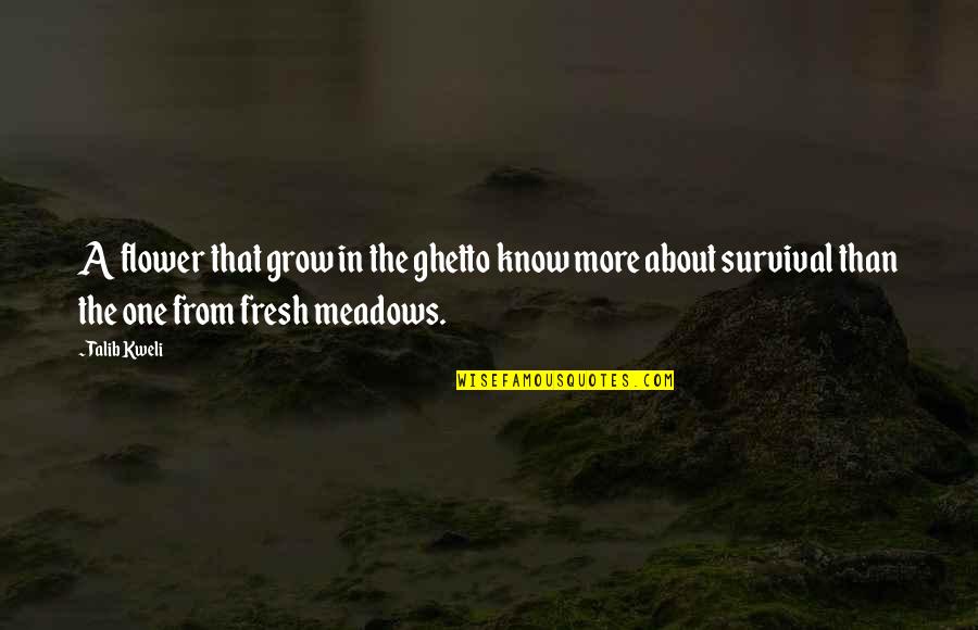 Ghetto Quotes By Talib Kweli: A flower that grow in the ghetto know