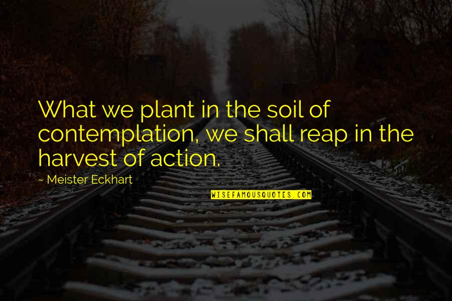 Ghirardelli Chocolate Quotes By Meister Eckhart: What we plant in the soil of contemplation, Ghirardelli Chocolate Quotes By Meister Eckhart: What we plant in the soil of contemplation,