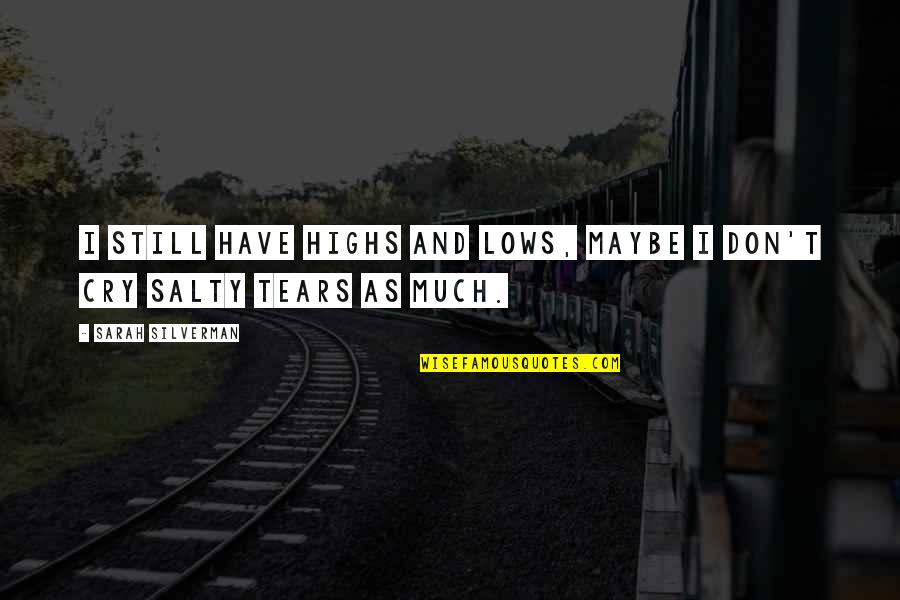 Ghiscari Quotes By Sarah Silverman: I still have highs and lows, maybe I