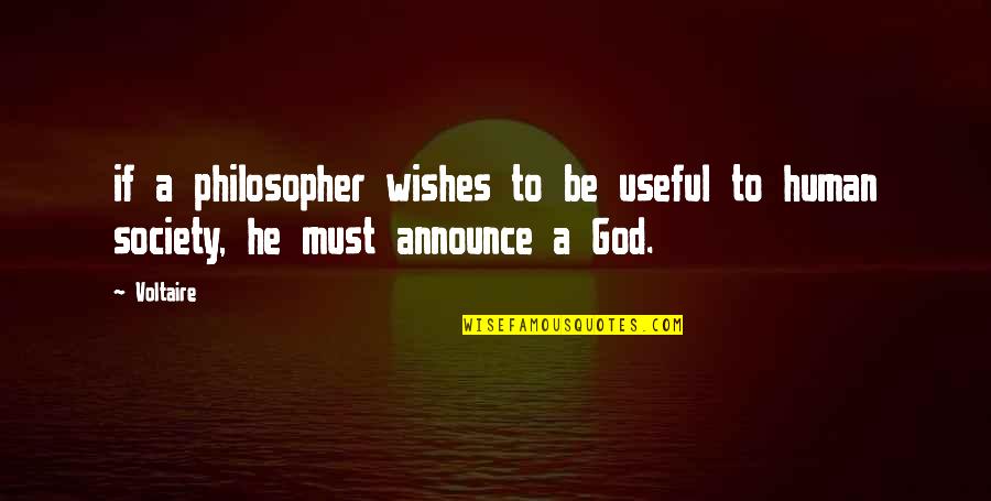Ghislaine Maxwell Quotes By Voltaire: if a philosopher wishes to be useful to