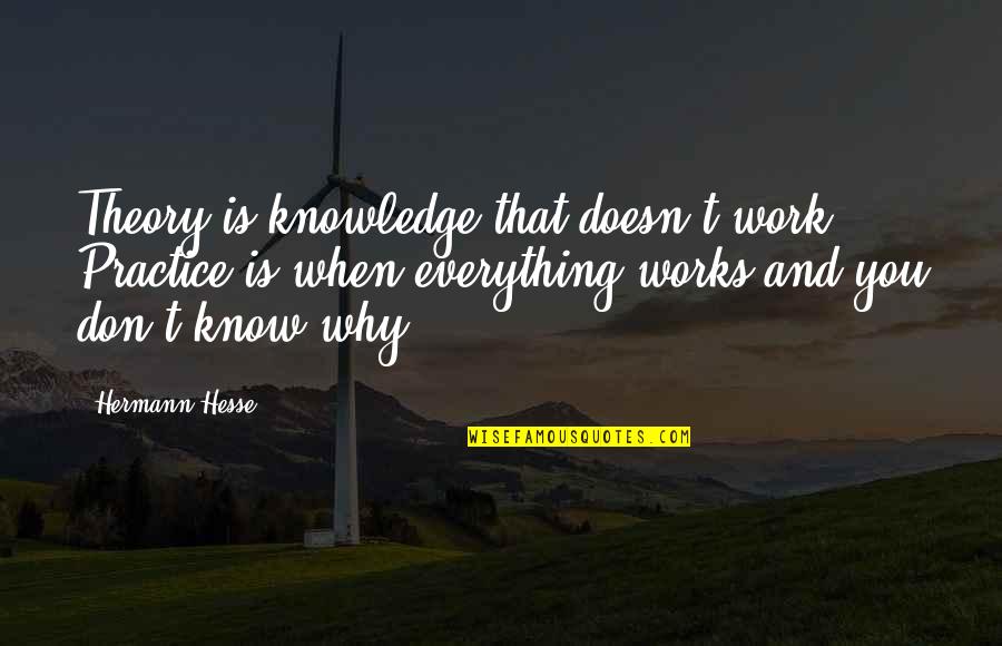 Ghoda Quotes By Hermann Hesse: Theory is knowledge that doesn't work. Practice is Ghoda Quotes By Hermann Hesse: Theory is knowledge that doesn't work. Practice is