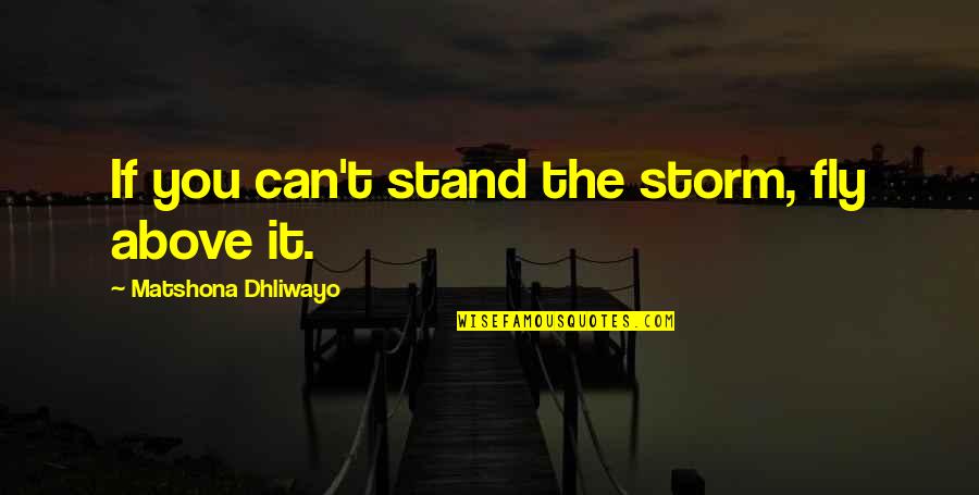 Ghoda Quotes By Matshona Dhliwayo: If you can't stand the storm, fly above