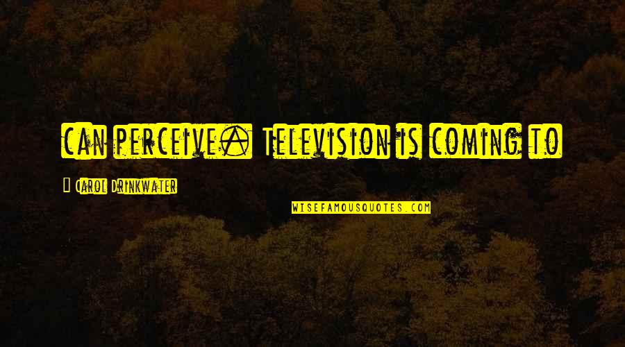 Gholam Hossein Naghshineh Quotes By Carol Drinkwater: can perceive. Television is coming to