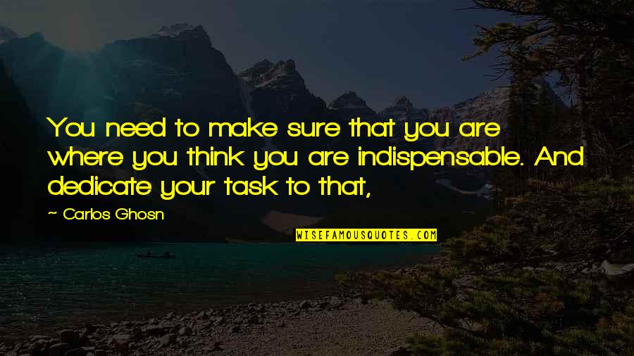 Ghosn Carlos Quotes By Carlos Ghosn: You need to make sure that you are