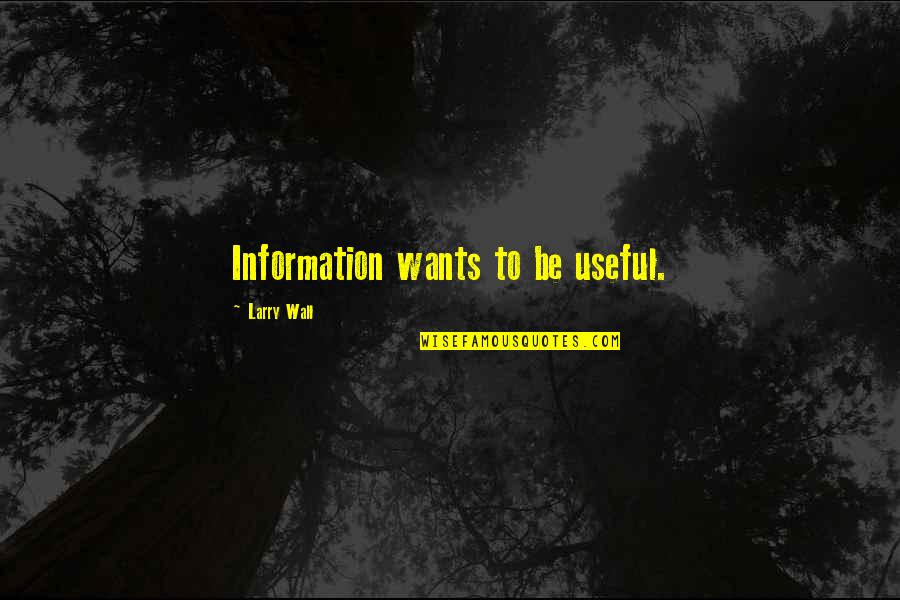 Ghost Windshield Quotes By Larry Wall: Information wants to be useful.
