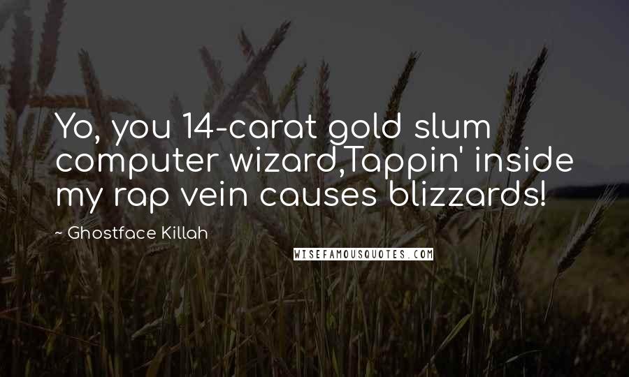 Ghostface Killah quotes: Yo, you 14-carat gold slum computer wizard,Tappin' inside my rap vein causes blizzards!