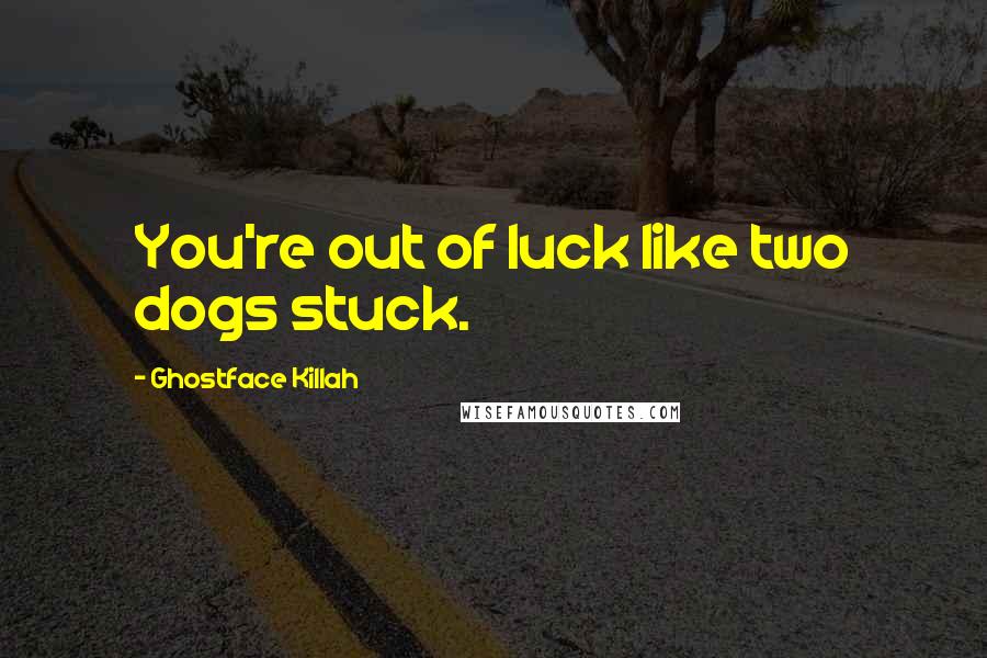 Ghostface Killah quotes: You're out of luck like two dogs stuck.