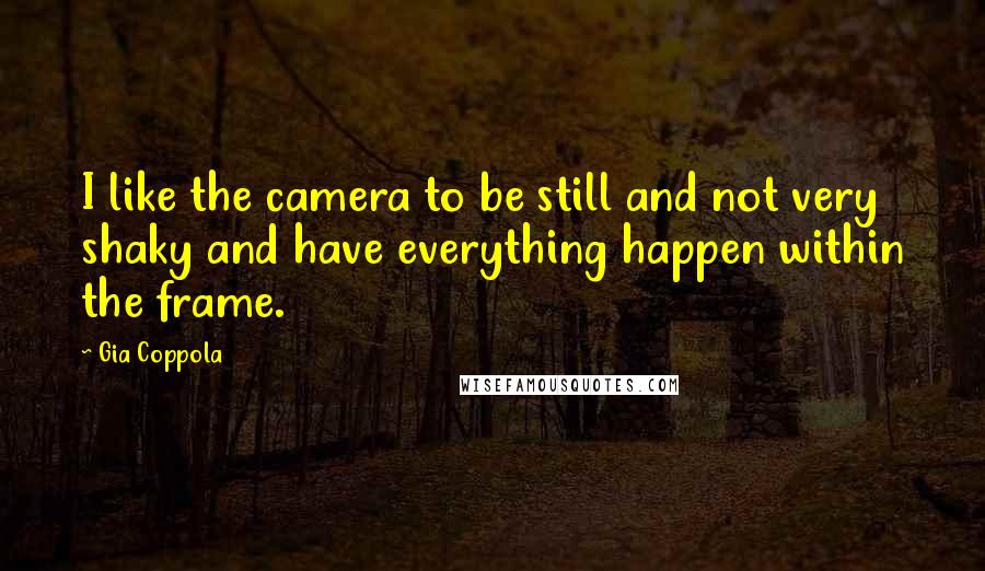 Gia Coppola quotes: I like the camera to be still and not very shaky and have everything happen within the frame.