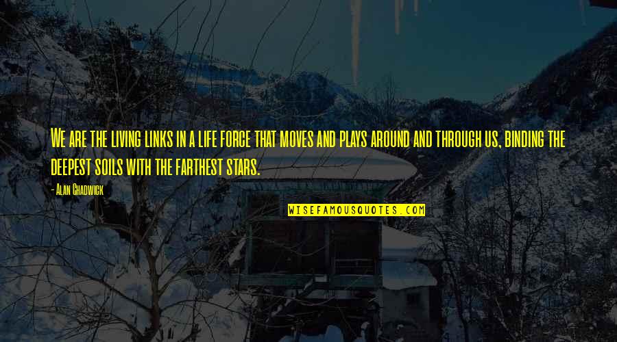Giacca Faux Quotes By Alan Chadwick: We are the living links in a life Giacca Faux Quotes By Alan Chadwick: We are the living links in a life