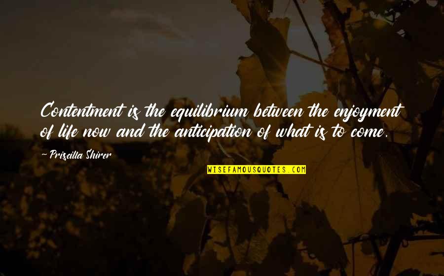 Giallanza Builders Quotes By Priscilla Shirer: Contentment is the equilibrium between the enjoyment of Giallanza Builders Quotes By Priscilla Shirer: Contentment is the equilibrium between the enjoyment of