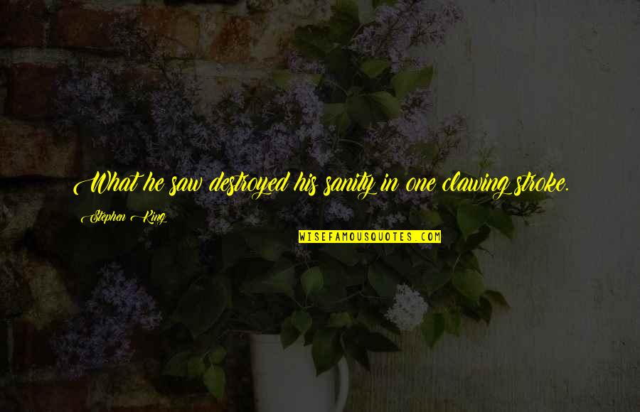 Giallombardo Construction Quotes By Stephen King: What he saw destroyed his sanity in one Giallombardo Construction Quotes By Stephen King: What he saw destroyed his sanity in one
