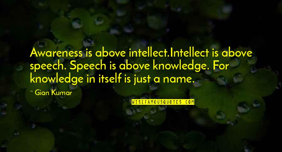 Gian Quotes By Gian Kumar: Awareness is above intellect.Intellect is above speech. Speech