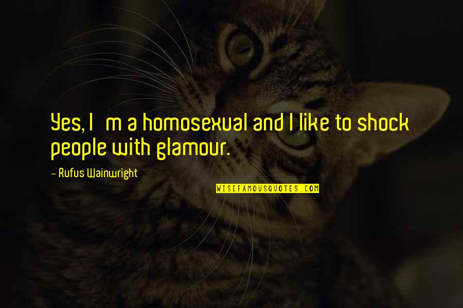 Gianclaudio Broggi Quotes By Rufus Wainwright: Yes, I'm a homosexual and I like to Gianclaudio Broggi Quotes By Rufus Wainwright: Yes, I'm a homosexual and I like to
