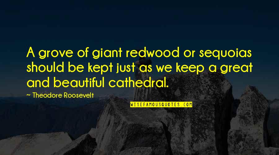 Giant Redwoods Quotes By Theodore Roosevelt: A grove of giant redwood or sequoias should