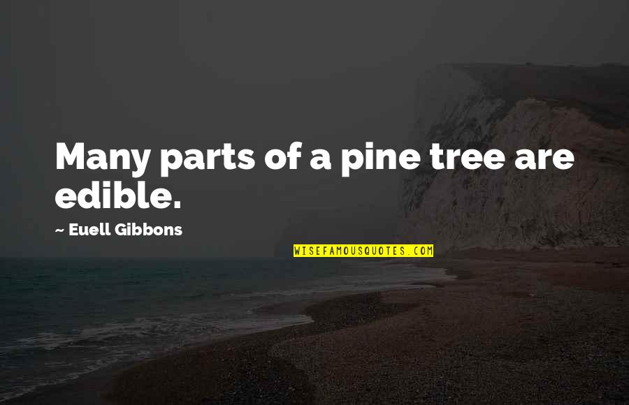 Gibbons's Quotes By Euell Gibbons: Many parts of a pine tree are edible.