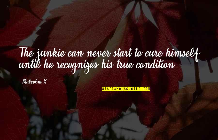 Gibbys Havre Quotes By Malcolm X: The junkie can never start to cure himself