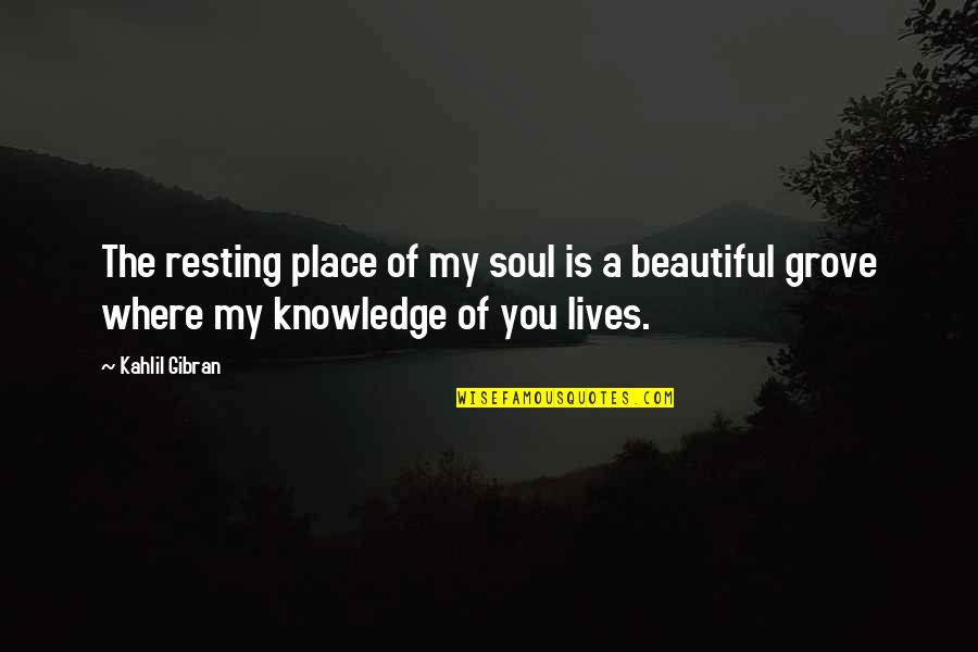 Gibran Love Quotes By Kahlil Gibran: The resting place of my soul is a
