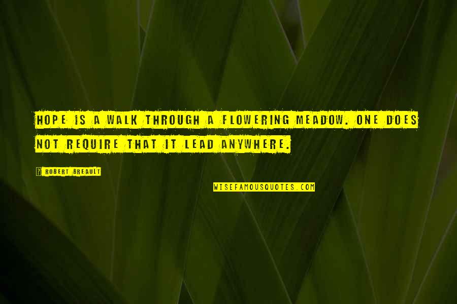 Giddens Famous Quotes By Robert Breault: Hope is a walk through a flowering meadow. Giddens Famous Quotes By Robert Breault: Hope is a walk through a flowering meadow.