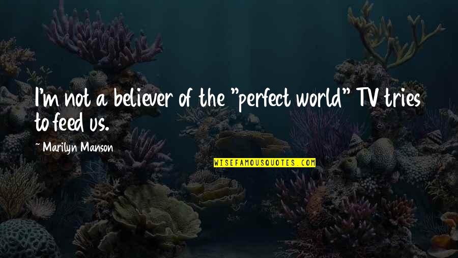 Giddy Up Quote Quotes By Marilyn Manson: I'm not a believer of the "perfect world"