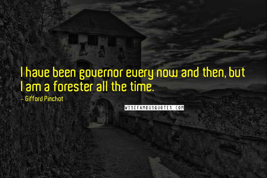 Gifford Pinchot quotes: I have been governor every now and then, but I am a forester all the time.